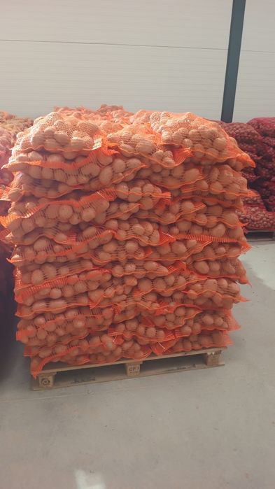 Cartofi consum și sămânță