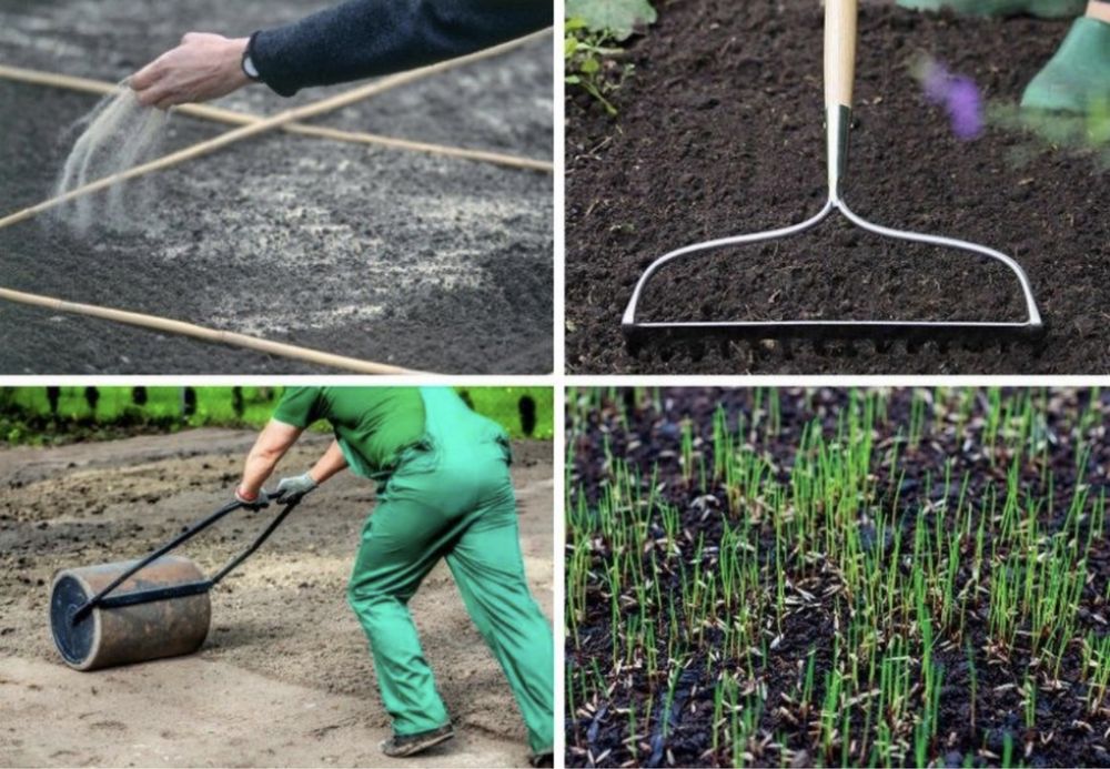 Посев газона под ключ