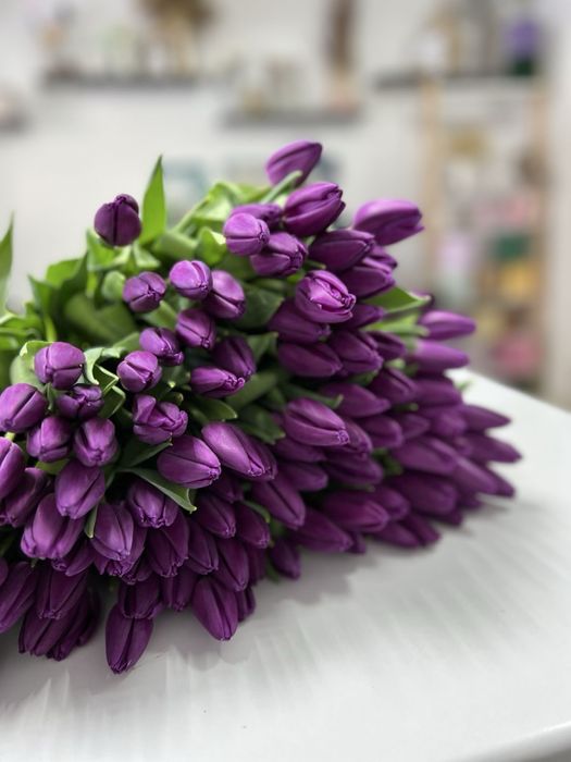 Тюльпаны свежие