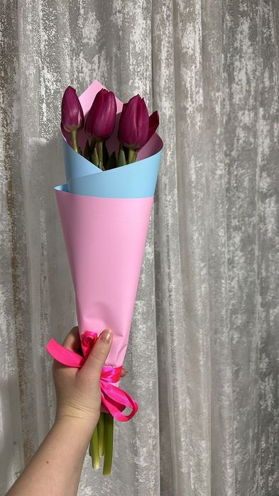 Тюльпаны в Усть-Каменогорске