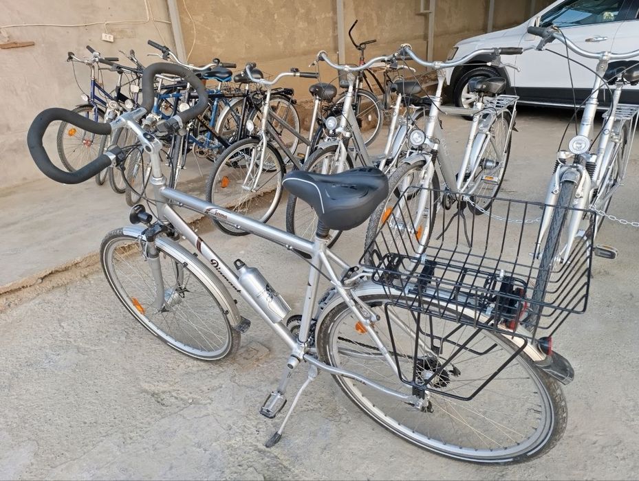veliklar sotiladi narxini keliwamz 100$ dan 300$ dollargaca bor