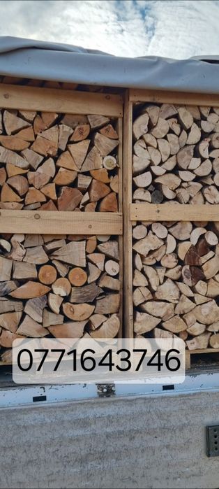 Lemne de foc esență tare fag