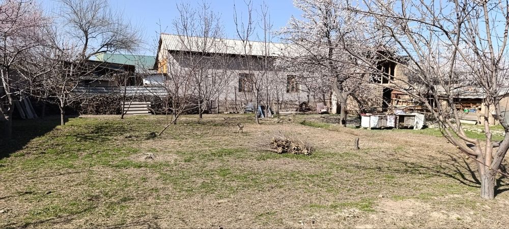 Ер сотилади 7 сотик. Бетемир туманда