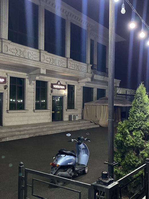 honda todey мопед