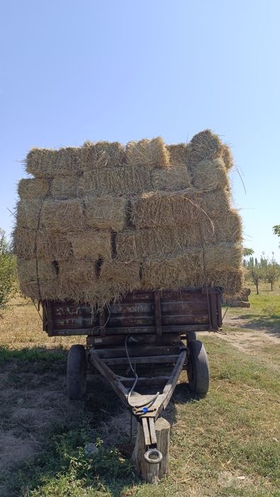 O't press sotiladi