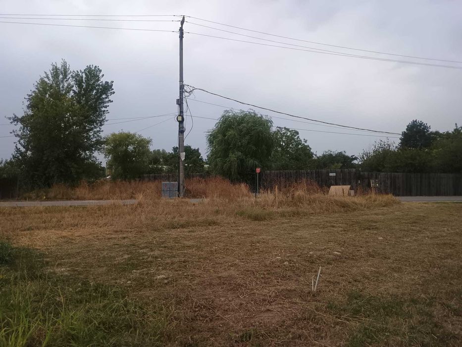 Teren Teghes Domnesti