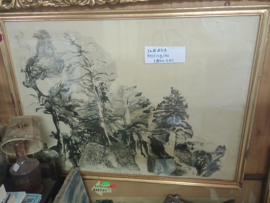 Tabloui.Sabina Negulescu Florian.Ileana Micodin.