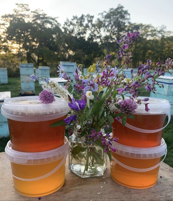 Натуральный горный мёд со своей пасеки