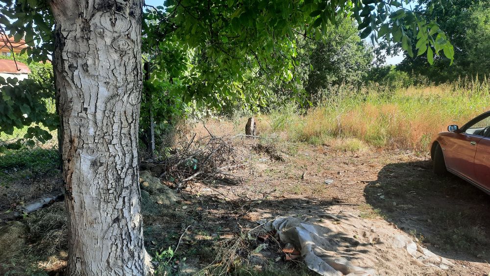 Продава се Парцел в Пловдив, Беломорски - 400 кв.м за 170 €/кв.м - Снимка #5