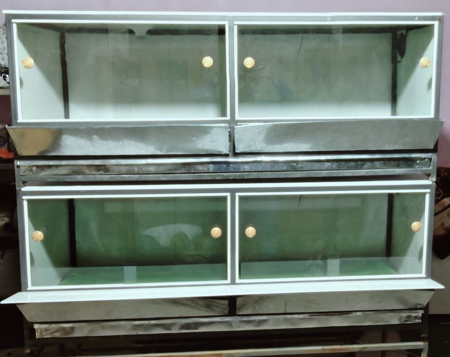 Bruder, брудер, jo‘jalar uchun, жўжалар учун