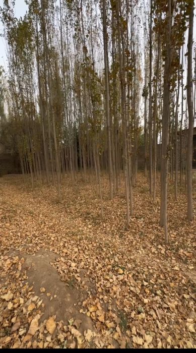 СРОЧНО Продается дом