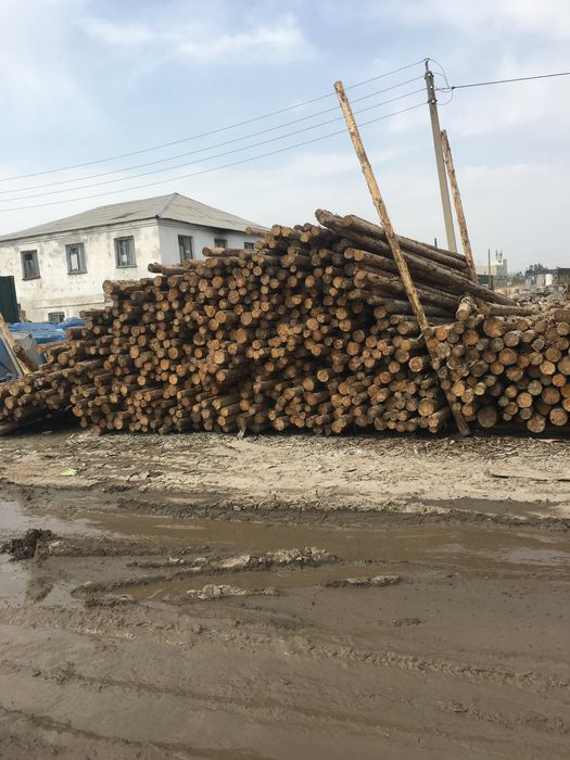 Пиломатералы рынок Шанхай