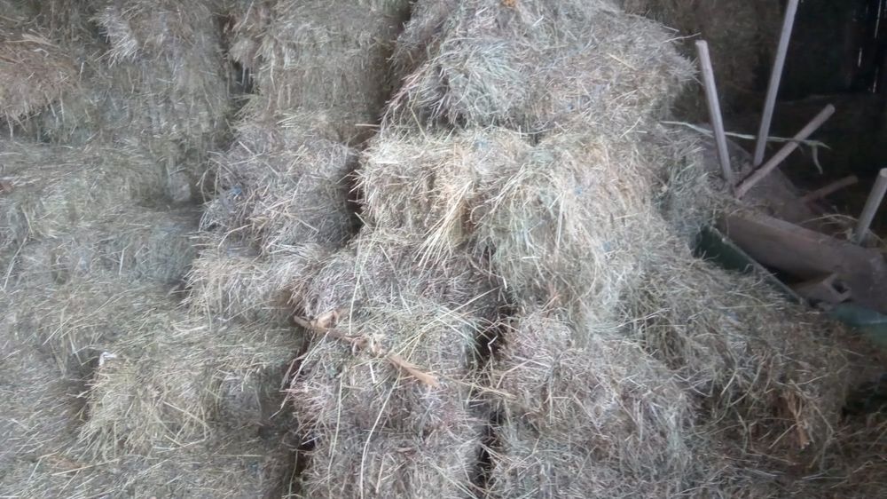 Baloți lucernă/ fân / paie