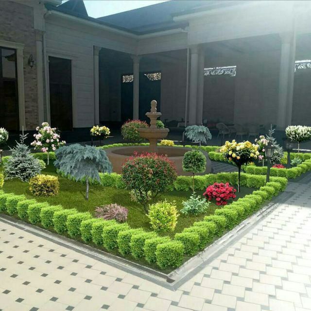 Archalar dekarativni daraxlar mevali daraxlar