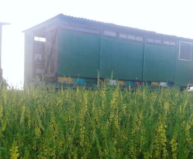 Продам вагон срочно торг