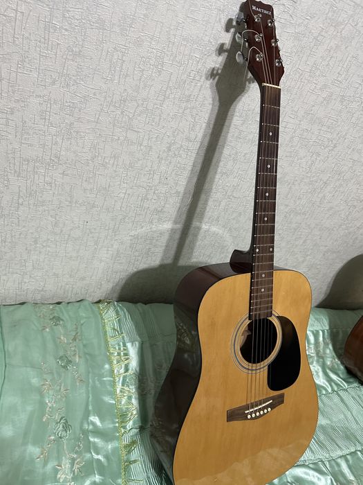 Gitara professionalnaya