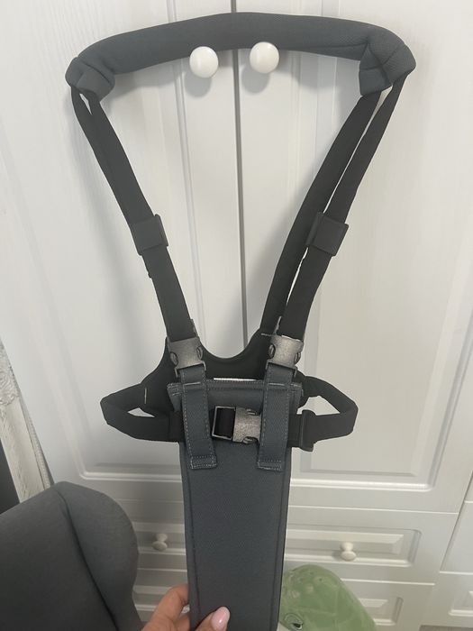 Ham bebelusi, Lorelli