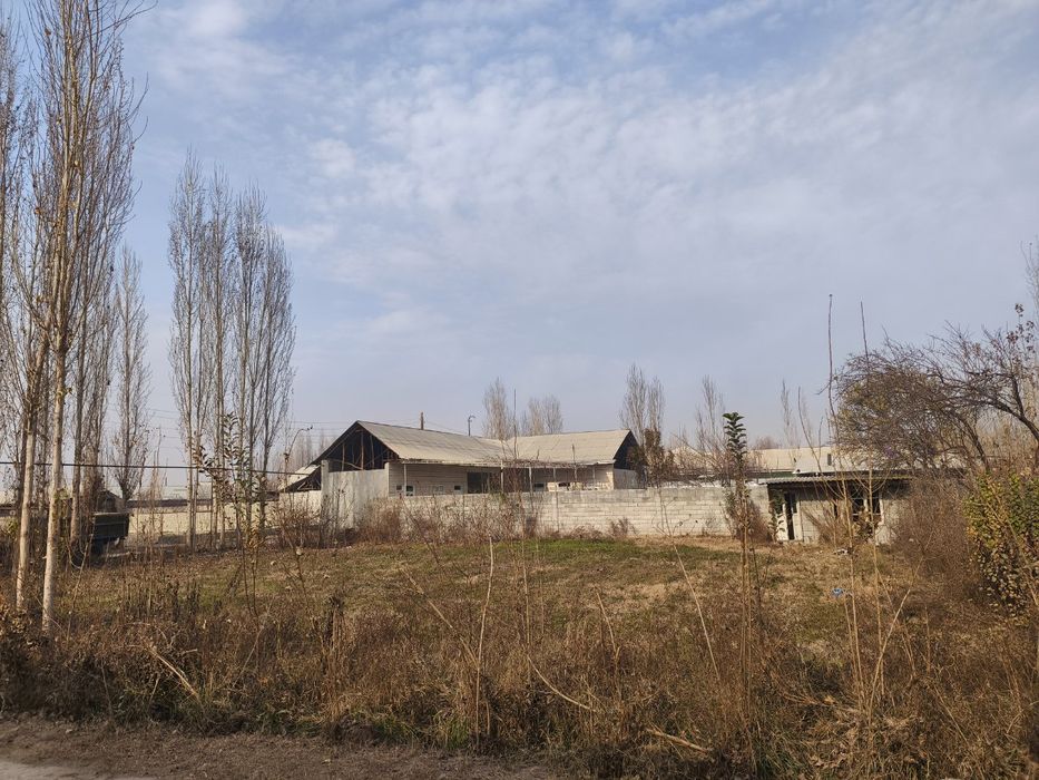 Chek zudlik bn sotiladi