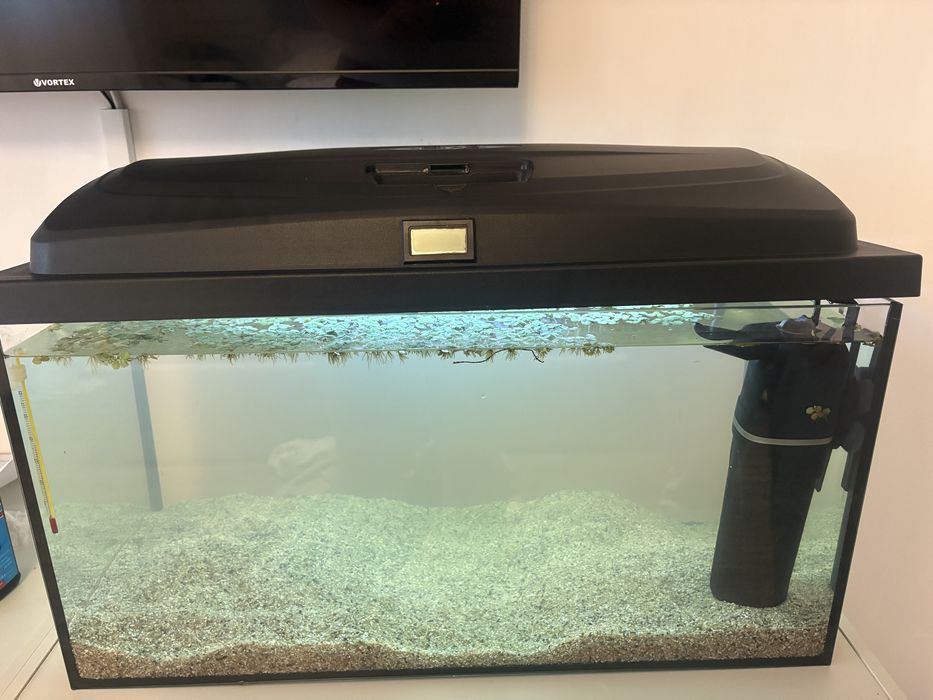 Acvariu 60 L  cu capac led