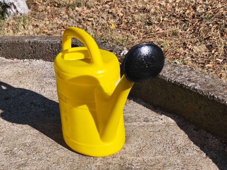 Различни видове цветя