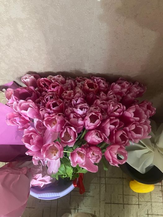 Срочно продам дёшево цветы