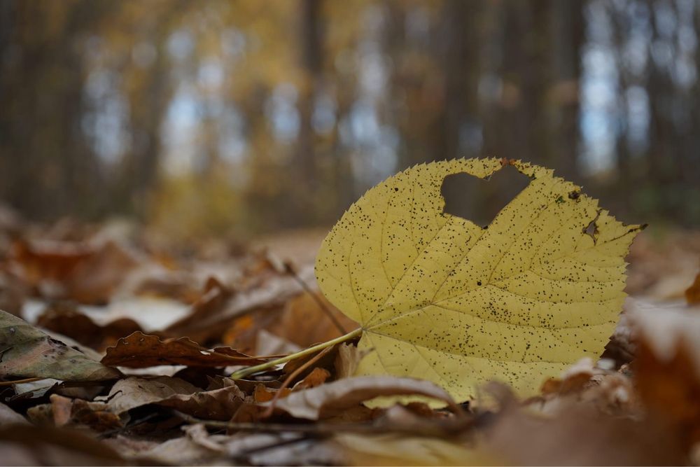 Фотограф любител