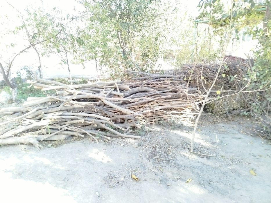 Утин сотилади  арзон