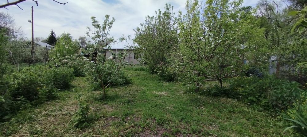 Продам дом с участком