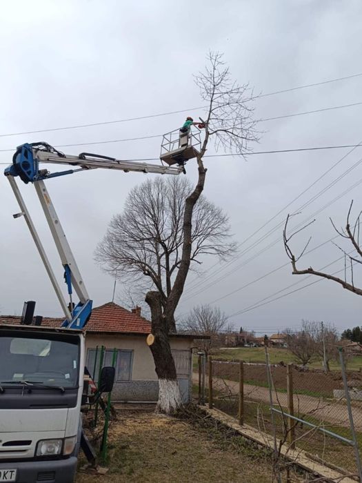 Рязане, кастрене и почистване на терени!