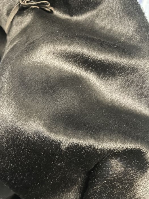 Черно палто от пони с лисица