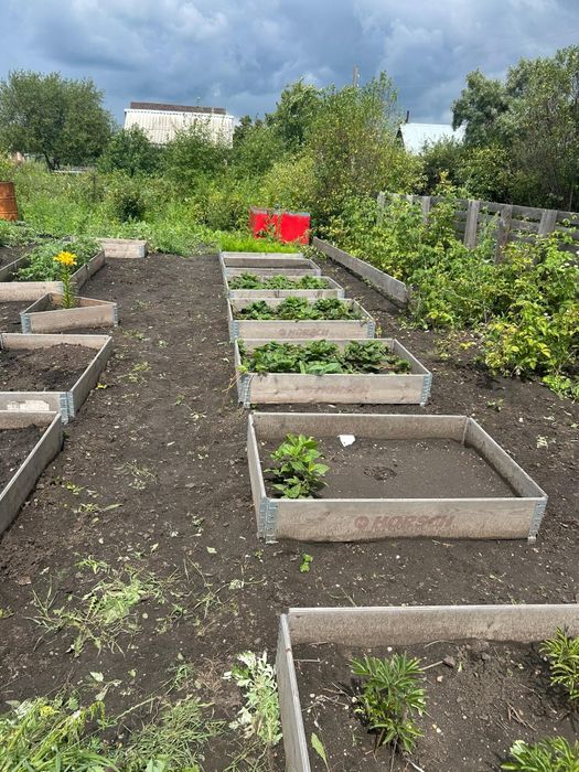 Продам дачу СО Ракета