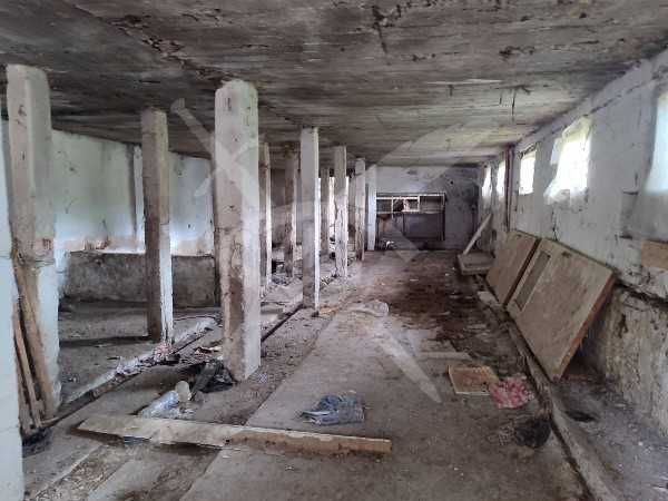 Ферма в Боянци 93134