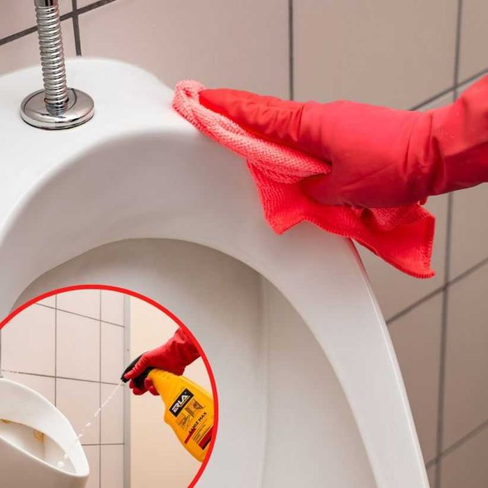 Очиститель Сантехники ERLA