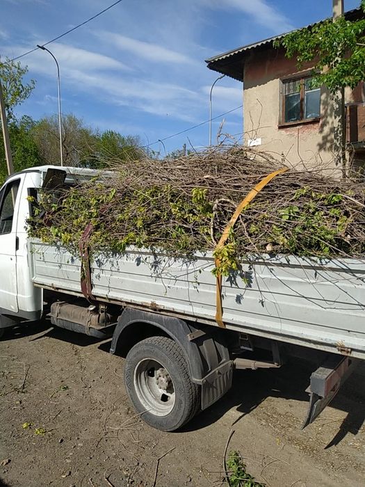 Доставка : уголь , песок, баласт , щебень . Газель самосвал