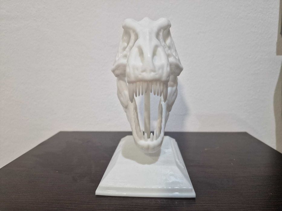 craniu dinozaur TREX