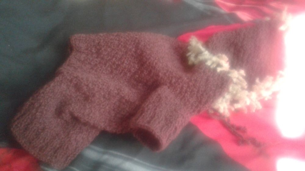 одежки для собачек и кошек