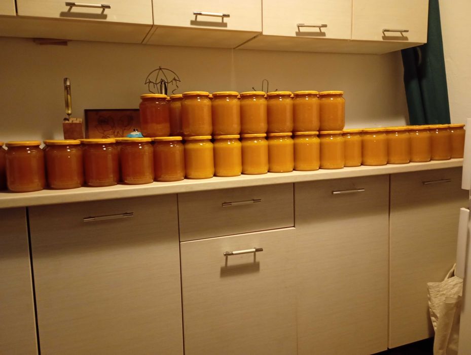 Miere poliflora sau Floarea soarelui