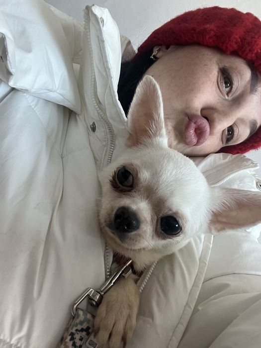 Ищем мальчика чиха для вязки