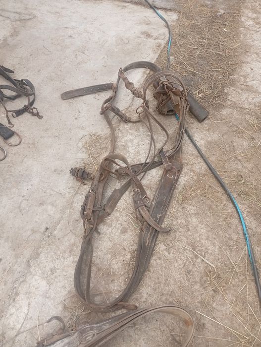 Vând hamuri pentru cai