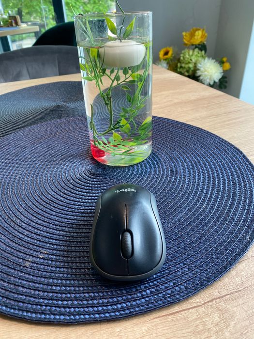 Logitech Computer Mouse