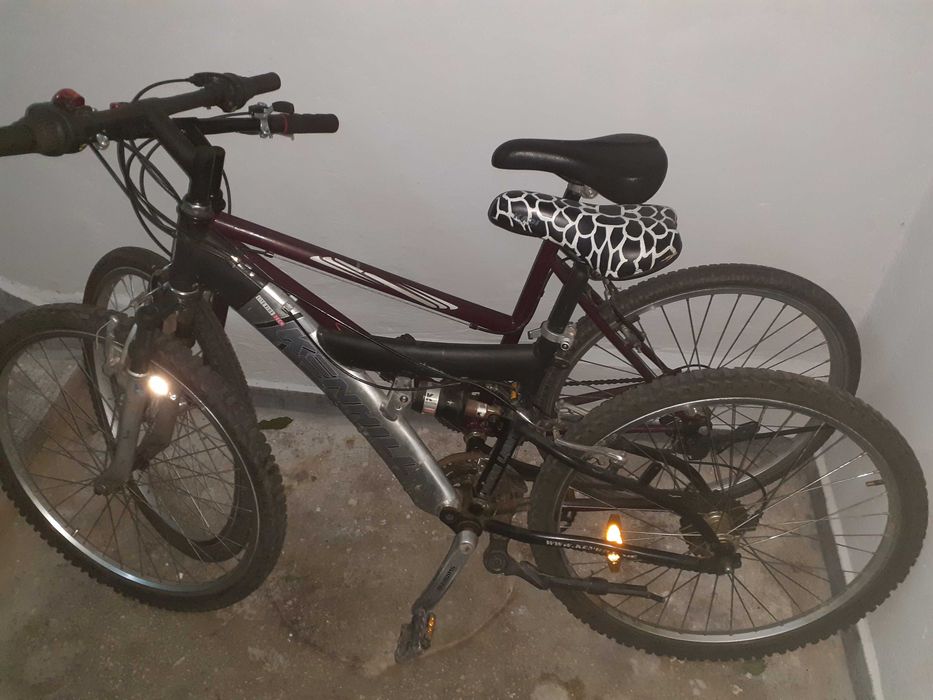 Doua biciclete SH