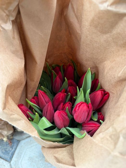 Тюльпаны оптом розница