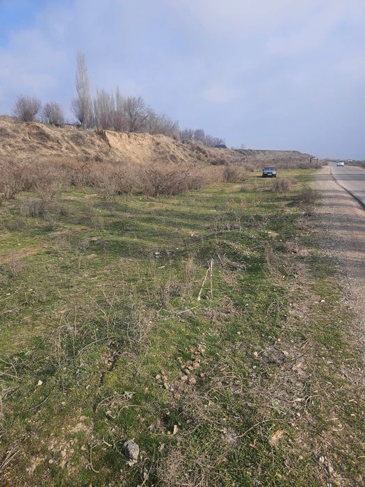 Земля 1га (участок)