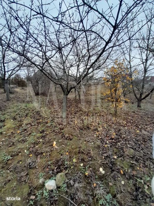 Teren intravilan pentru constructii de vanzare in Paleu, Oradea