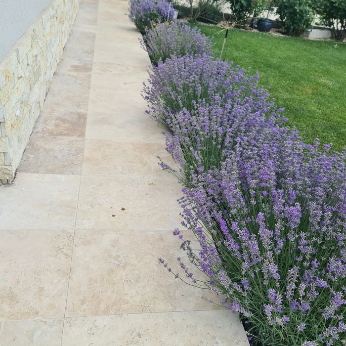 Travertin 40.6x61×1.2 antichizat