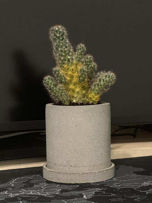 Бетонный горшок