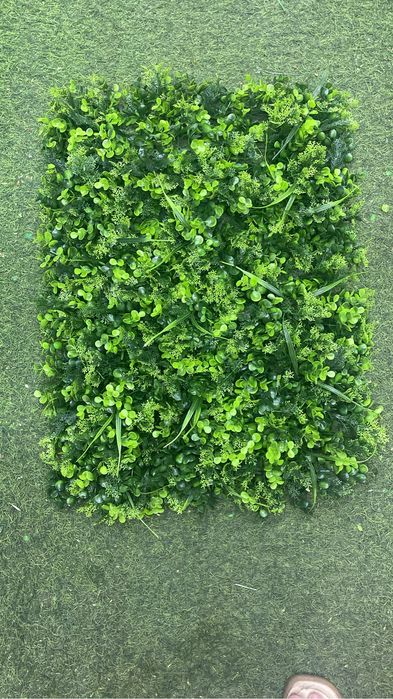 самшит , газон , искусственные коврик