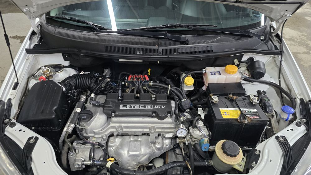 Nexia mexanika Gazi bor