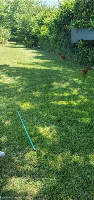 Vând casă în Bărcănești