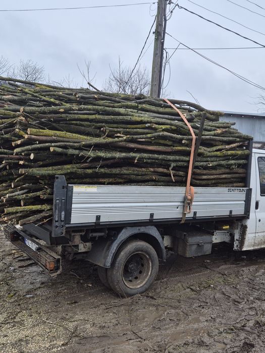 Lemn foc salcim și araci vie și roșii